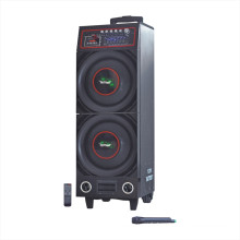 Haut-parleur Protable avec batterie double 10 &quot;Bluetooth (6100t)